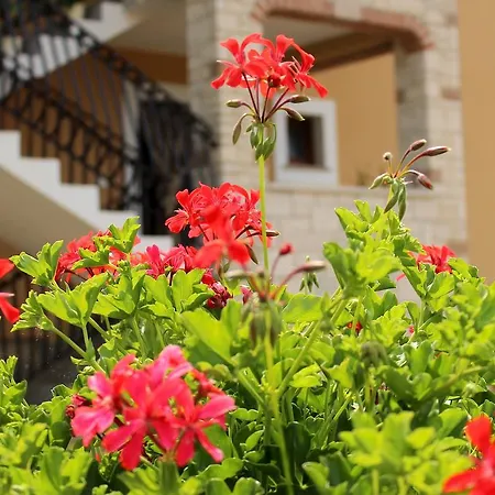 Apartment Ds Apartment Porec *